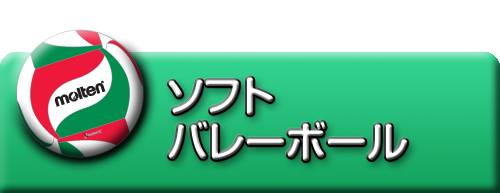 ソフトバレーボール